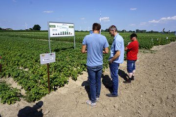 Kościerzyńskie Dni Pola 2021