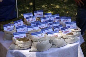 Kościerzyńskie Dni Pola 2021