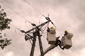 Nowoczesne odstraszacze dla ptaków w Strugach Pątnowskich