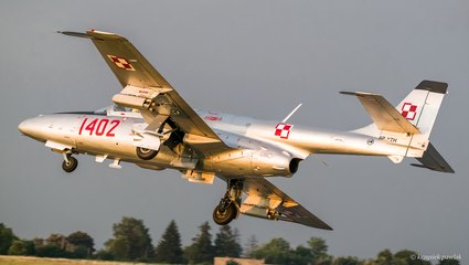 Fly Fest w Piotrkowie Trybunalskim. Na lotnisko Aeroklubu Piotrkowskiego przybyło 12 tys. ludzi