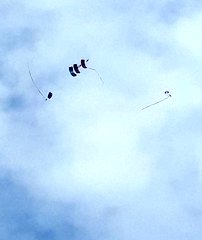 Fly Fest w Piotrkowie Trybunalskim. Na lotnisko Aeroklubu Piotrkowskiego przybyło 12 tys. ludzi