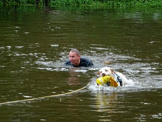 Sekcja Psów Ratowniczych - WOPR Katowice
