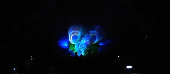 Iluminacja drzew i wyjątkowy pokaz laserowy na Wojewódzkim Święcie Chrzanu w Osjakowie