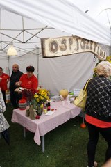 X Jubileuszowe Święto Chrzanu w Osjakowie