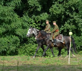 „Piknik Historyczny na pograniczu. Wielka historia w małych Ojczyznach” odbył się w Goli pod Bolesławcem