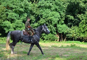 „Piknik Historyczny na pograniczu. Wielka historia w małych Ojczyznach” odbył się w Goli pod Bolesławcem