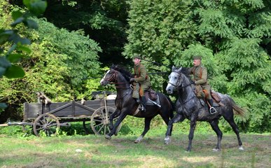 „Piknik Historyczny na pograniczu. Wielka historia w małych Ojczyznach” odbył się w Goli pod Bolesławcem