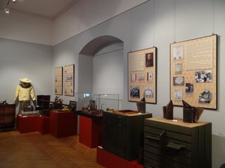 „Dzieje pszczelarstwa” w wieluńskim Muzeum