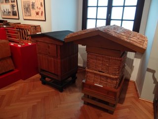 „Dzieje pszczelarstwa” w wieluńskim Muzeum