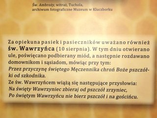 „Dzieje pszczelarstwa” w wieluńskim Muzeum