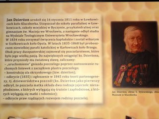 „Dzieje pszczelarstwa” w wieluńskim Muzeum