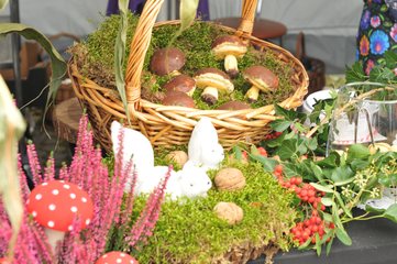 Piknik rodzinny Województwa Łódzkiego odbył się w Lututowie