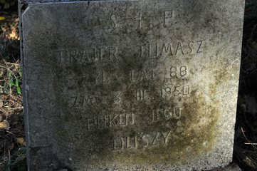 Posprzątali i przypomnieli stary cmentarz ewangelicki w Józefowie (gmina Pątnów)
