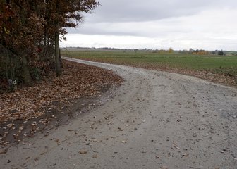 Droga w Dzietrznikach w gminie Pątnów oficjalnie otwarta