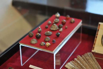 Muzeum Ziemi Wieluńskiej zaprasza na nową wystawę czasową
