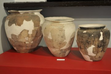 Muzeum Ziemi Wieluńskiej zaprasza na nową wystawę czasową