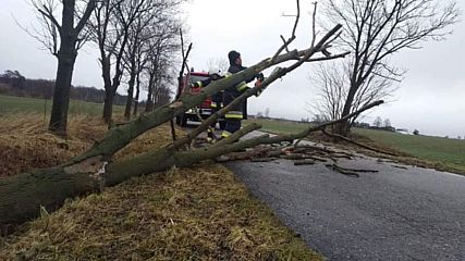 Uwaga na silny wiatr. W powiecie wieluńskim strażacy od wczoraj interweniowali prawie 60 razy