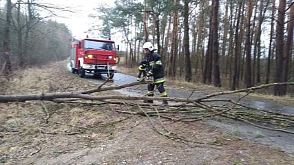 Uwaga na silny wiatr. W powiecie wieluńskim strażacy od wczoraj interweniowali prawie 60 razy