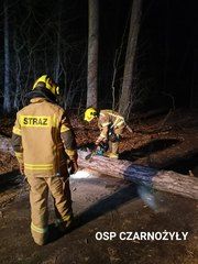 W weekend ostro wiało! Wieluńscy strażacy wyjeżdżali do interwencji aż 125 razy