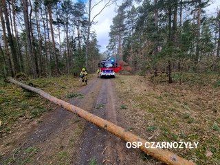 W weekend ostro wiało! Wieluńscy strażacy wyjeżdżali do interwencji aż 125 razy