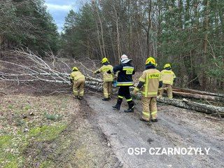 W weekend ostro wiało! Wieluńscy strażacy wyjeżdżali do interwencji aż 125 razy