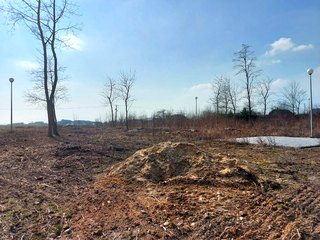 Park w Mierzycach odzyska swoją świetność