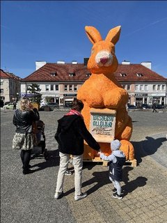 Duży pomarańczowy zając pojawił się na placu Legionów w Wieluniu