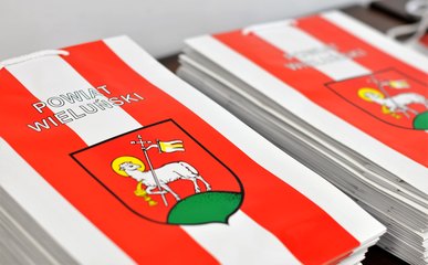 Ogłoszono wyniki pierwszego konkursu powiatu wieluńskiego na realizację zadań publicznych przez organizacje pozarządowe