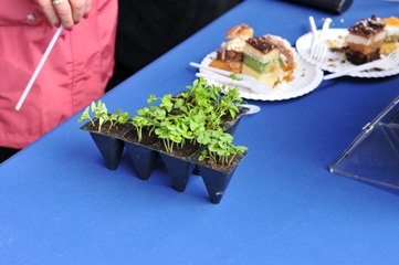 Grodzisko w Tumie (powiat łęczycki) otwarte!