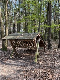 Zrobiło się ciepło, miejsca rekreacji w Wieluniu tętnią życiem