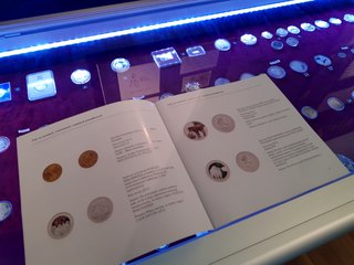 W wieluńskim muzeum otwarto wystawę „Żubr – król puszczy”