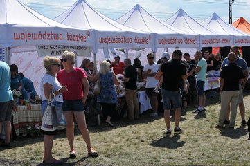 „Kolejowy” Piknik Województwa Łódzkiego odbył się w weekend w Wieruszowie