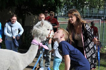 Dzień Przyjaciela Szkoły zorganizowano w Zespole Szkół Specjalnych