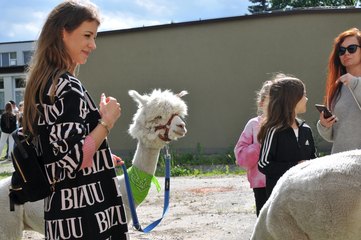 Dzień Przyjaciela Szkoły zorganizowano w Zespole Szkół Specjalnych