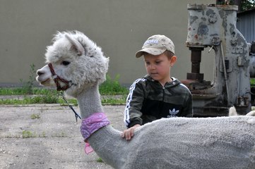 Dzień Przyjaciela Szkoły zorganizowano w Zespole Szkół Specjalnych