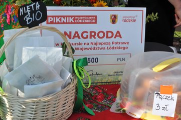 Piękne słońce i moc atrakcji – za nami zorganizowany w Ostrówku Piknik Województwa Łódzkiego