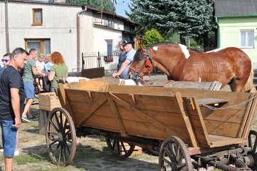 W weekend w Widawie przypomniano przedwojenne targowiska
