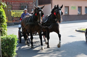 W weekend w Widawie przypomniano przedwojenne targowiska