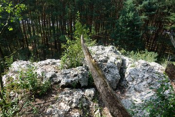 Leśnictwo Ogroble, Wronia Woda, Góra św. Genowefy i Żabi Staw – zapraszamy na wycieczkę