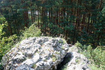 Leśnictwo Ogroble, Wronia Woda, Góra św. Genowefy i Żabi Staw – zapraszamy na wycieczkę