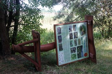 Leśnictwo Ogroble, Wronia Woda, Góra św. Genowefy i Żabi Staw – zapraszamy na wycieczkę