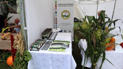 XI Wojewódzkie Święto Chrzanu w Osjakowie za nami
