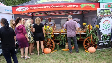 XI Wojewódzkie Święto Chrzanu w Osjakowie za nami