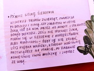 Niemapa – lasy łódzkiego. Ciekawa propozycja na wycieczki po lesie