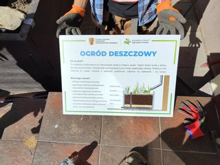 W Zespole Szkół nr 1 w Wieluniu powstał ogród deszczowy
