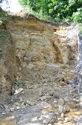 Wieluńskie „gruby” mogą stać się atrakcją geologiczną i bazą edukacyjną