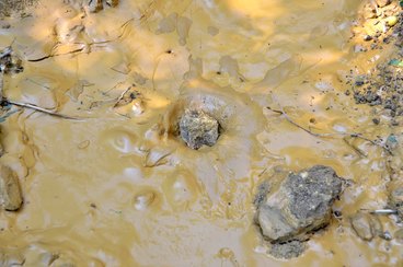 Wieluńskie „gruby” mogą stać się atrakcją geologiczną i bazą edukacyjną