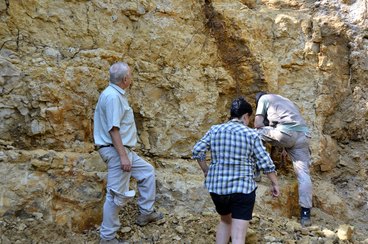 Wieluńskie „gruby” mogą stać się atrakcją geologiczną i bazą edukacyjną