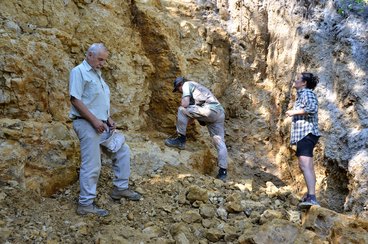 Wieluńskie „gruby” mogą stać się atrakcją geologiczną i bazą edukacyjną