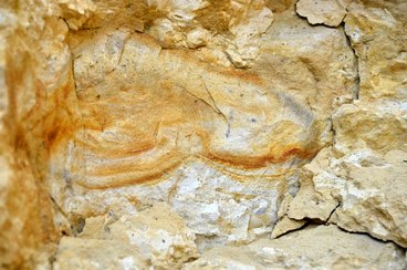 Wieluńskie „gruby” mogą stać się atrakcją geologiczną i bazą edukacyjną